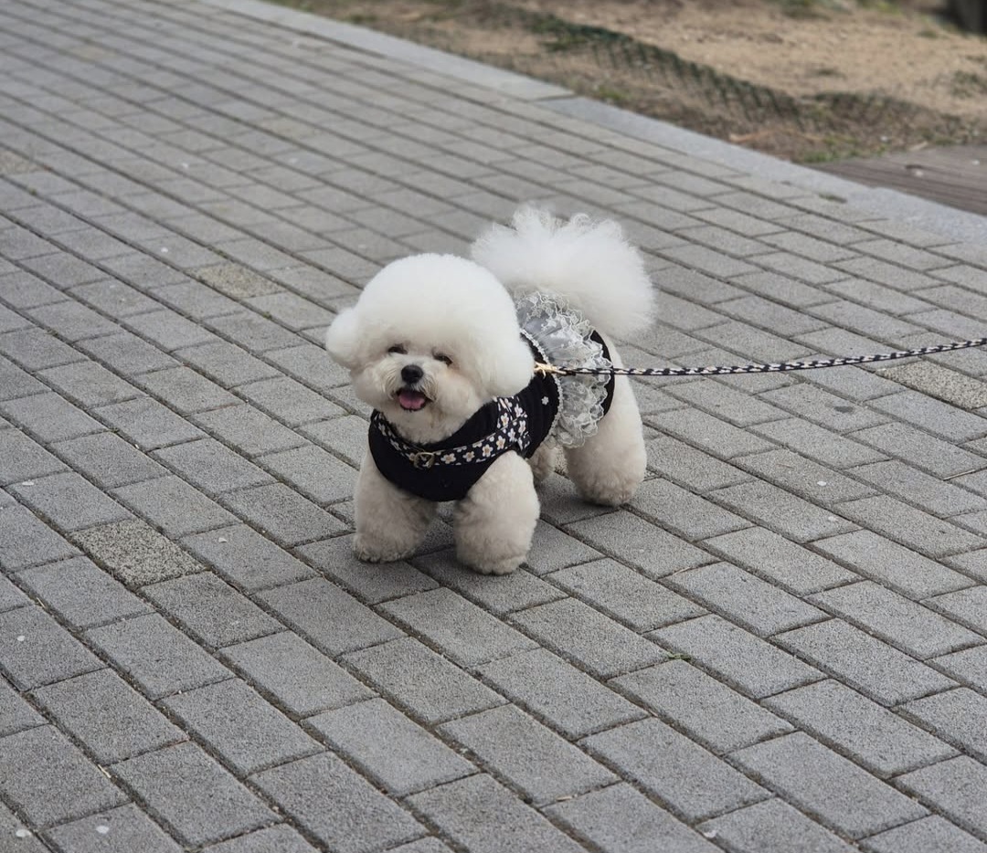 프로필사진