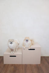 프로필 로고
