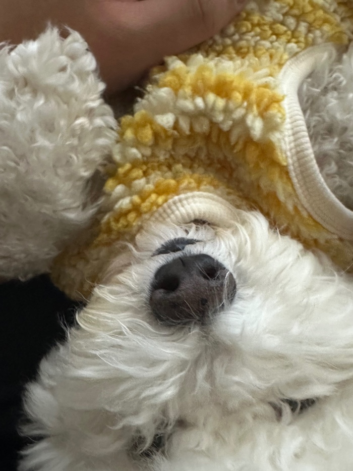 프로필사진