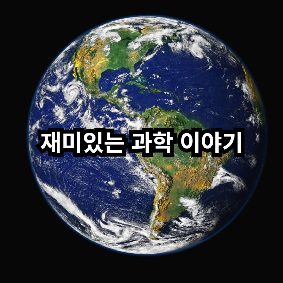 블로그 이미지