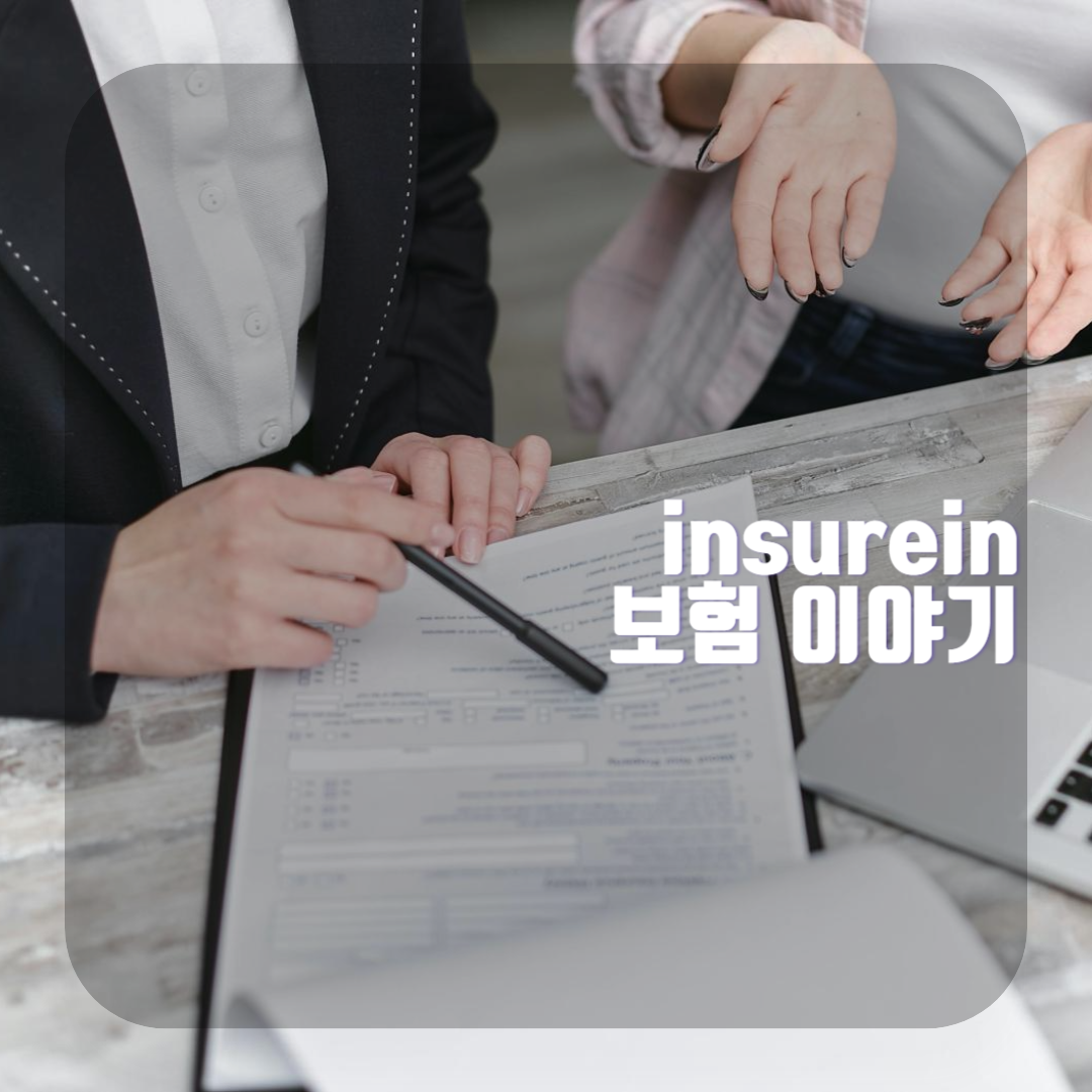 프로필사진