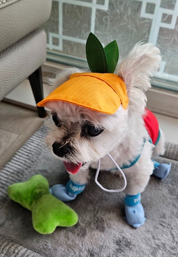 프로필사진