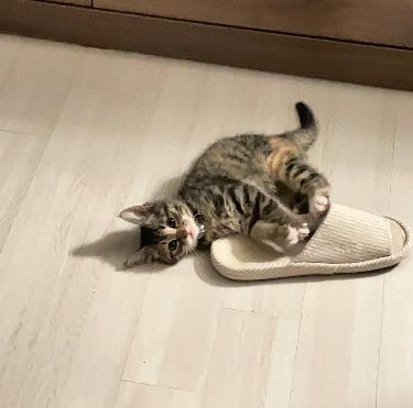 프로필사진