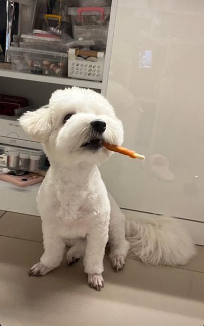 프로필사진