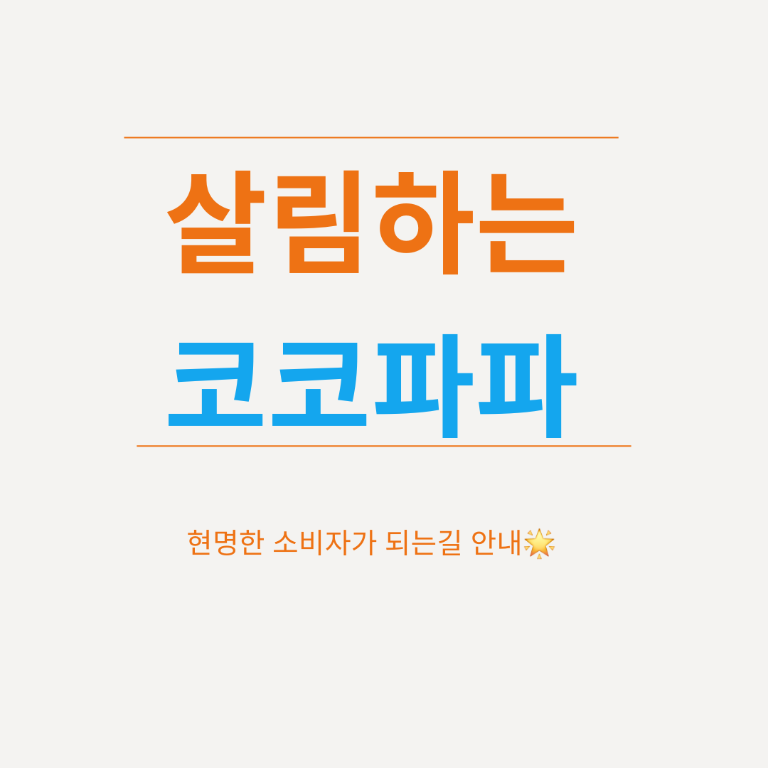 프로필사진
