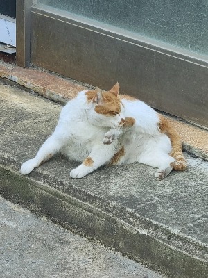 블로그 이미지