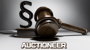 Tistory profile picture for @auctioneer