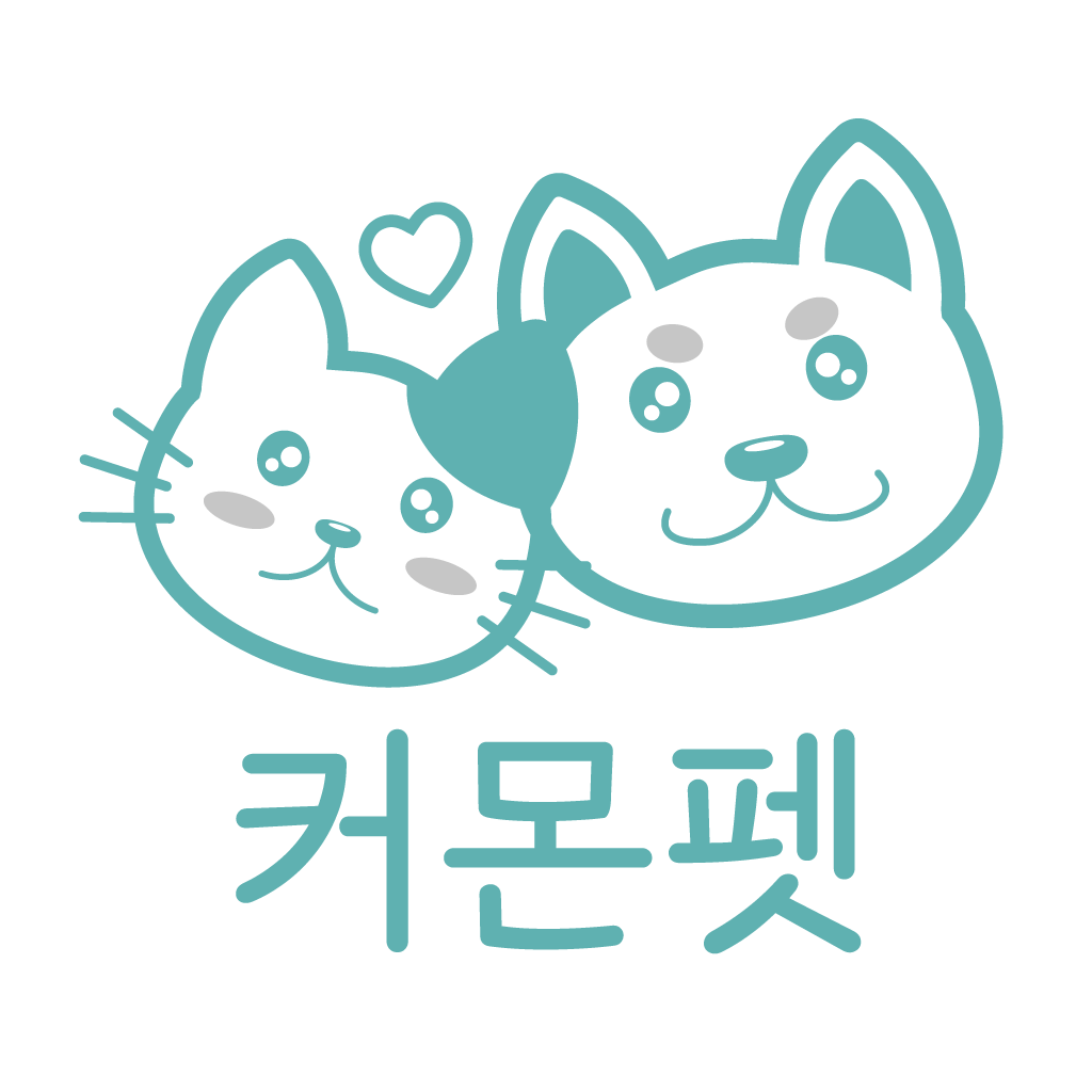 프로필사진