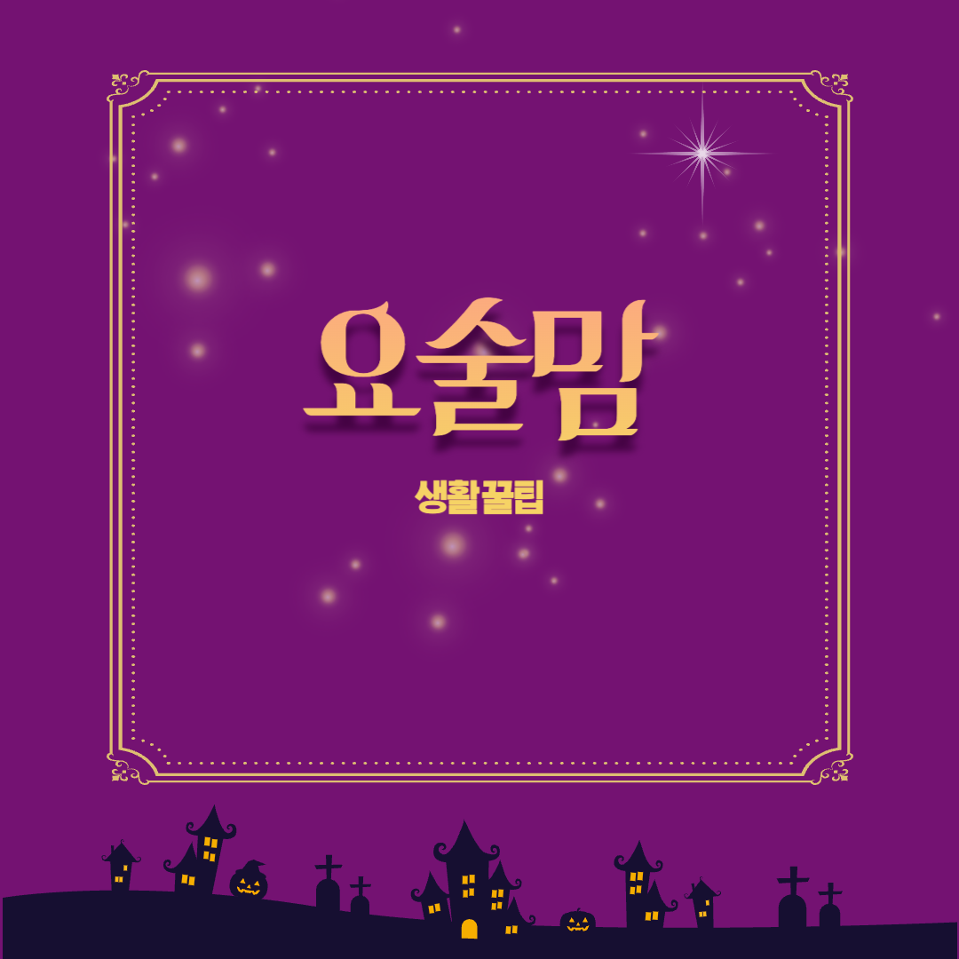 프로필사진