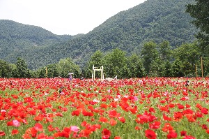 프로필사진