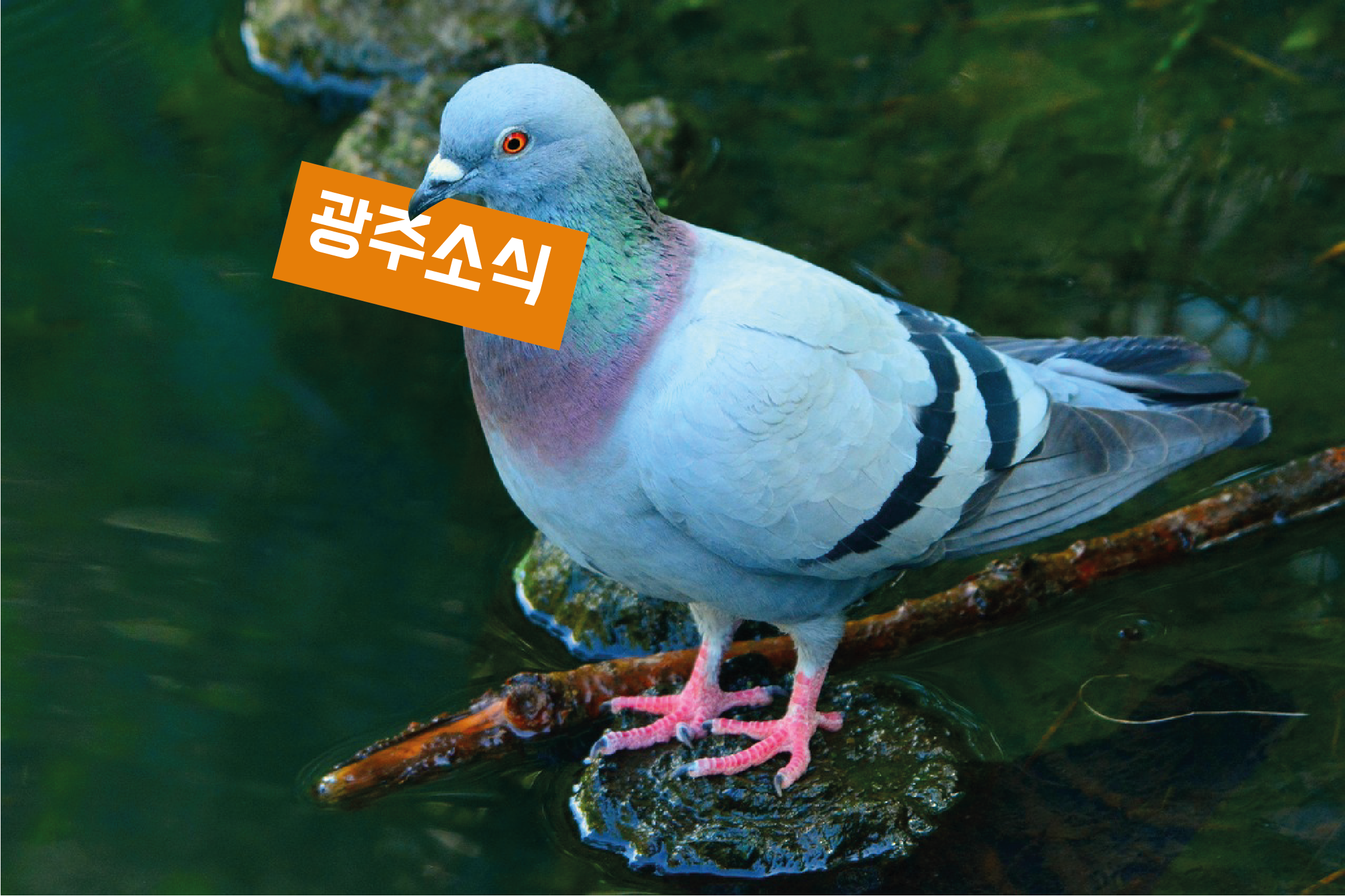 프로필사진