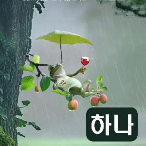 프로필사진