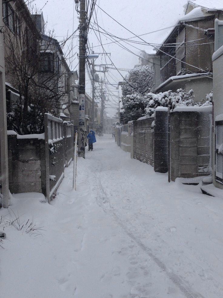 프로필사진