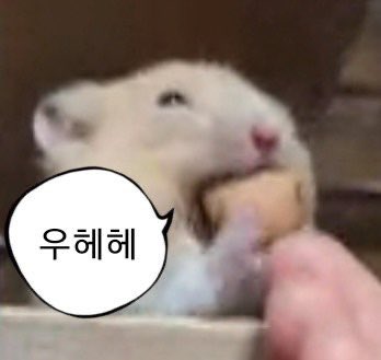 👑왕자👑