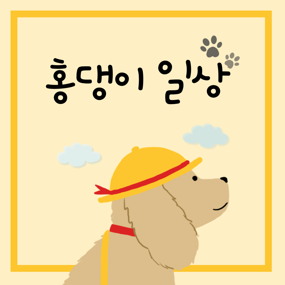 블로그 이미지