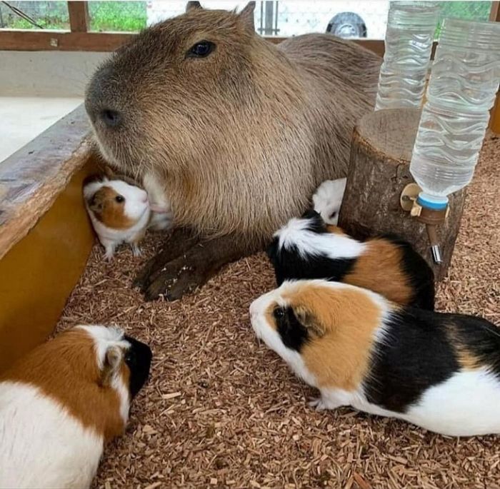 프로필사진