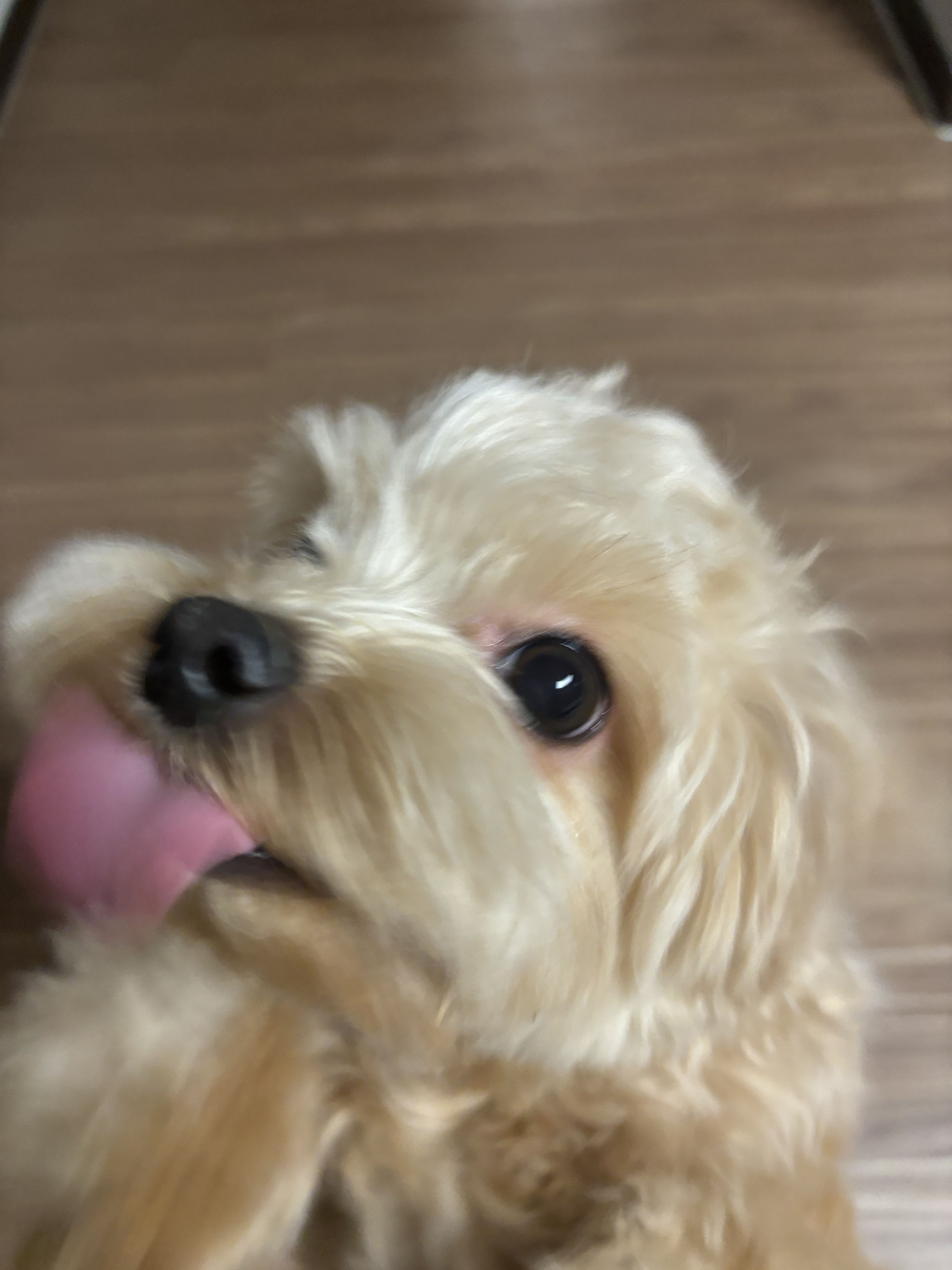 프로필사진