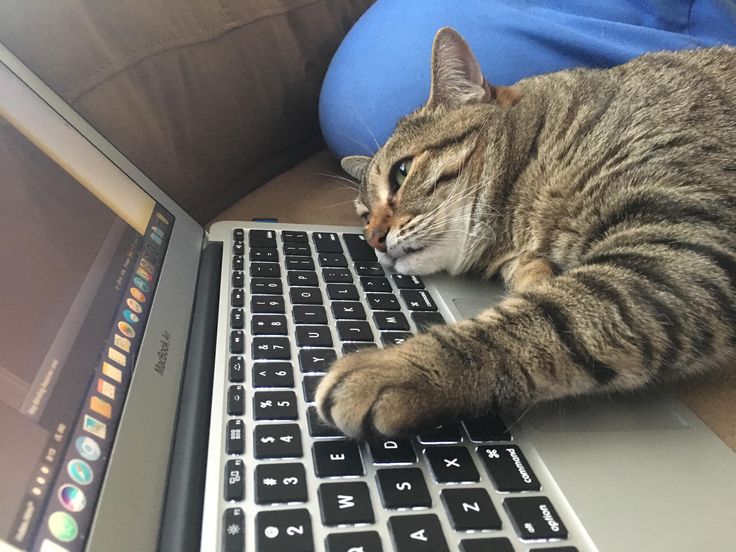 blog profile img