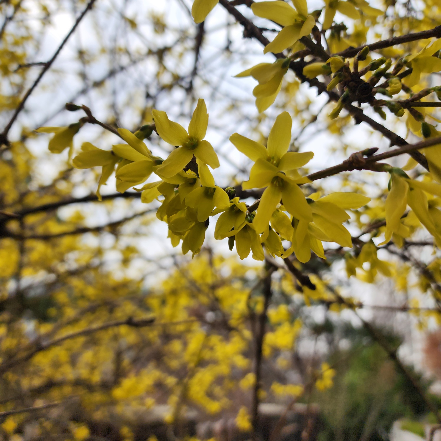 프로필사진
