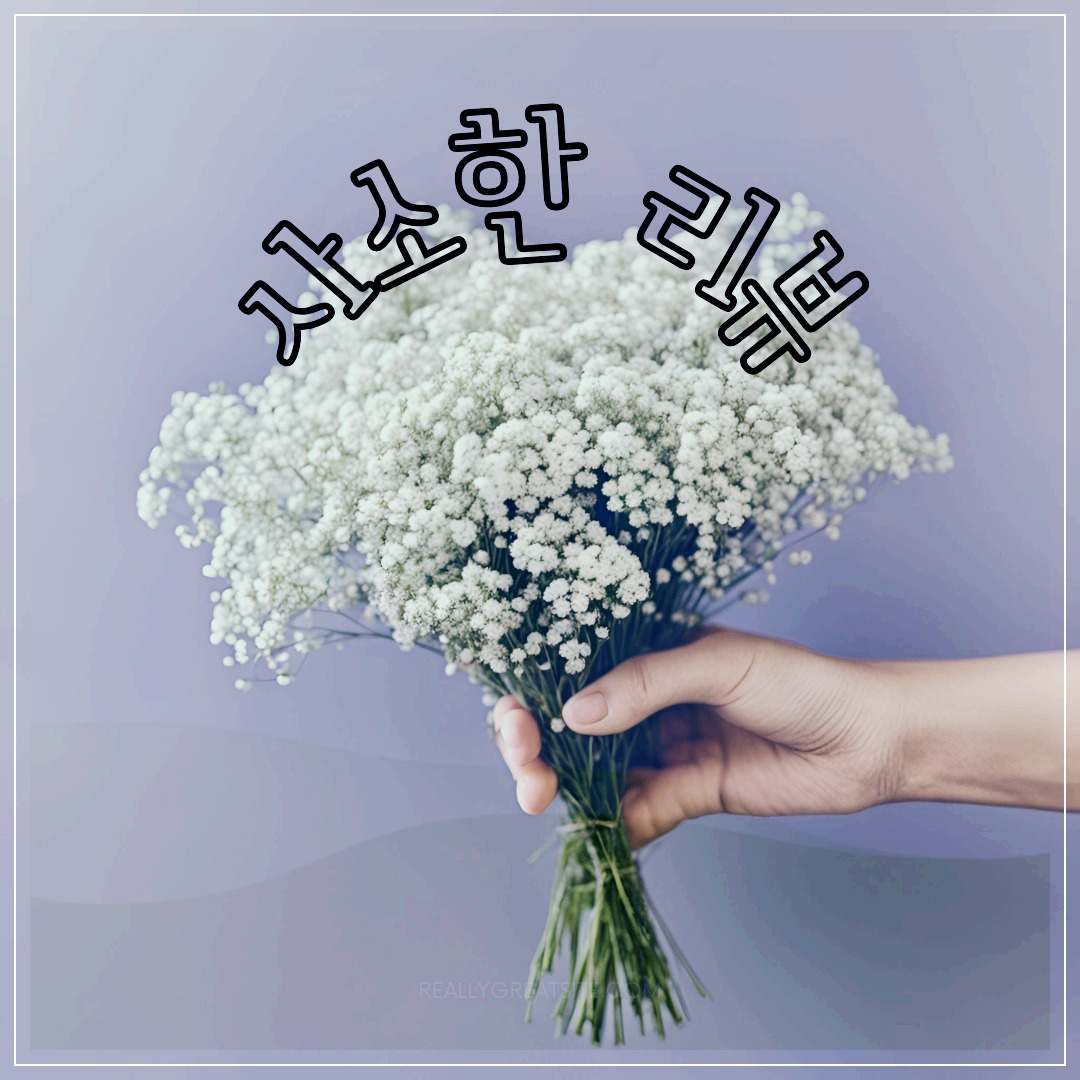 프로필사진