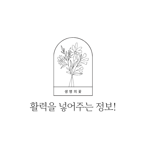 활력블로그!!!!