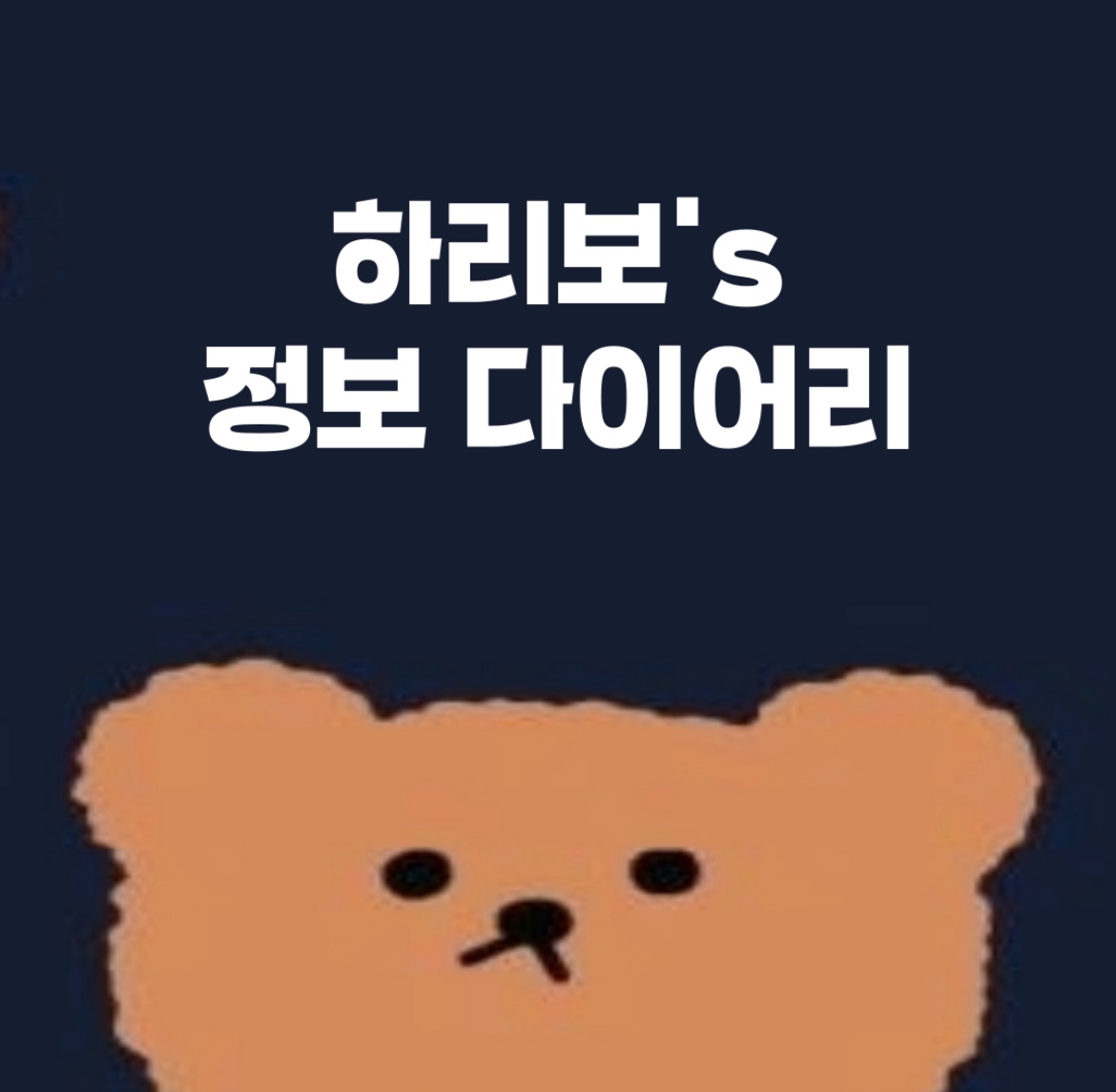 프로필사진