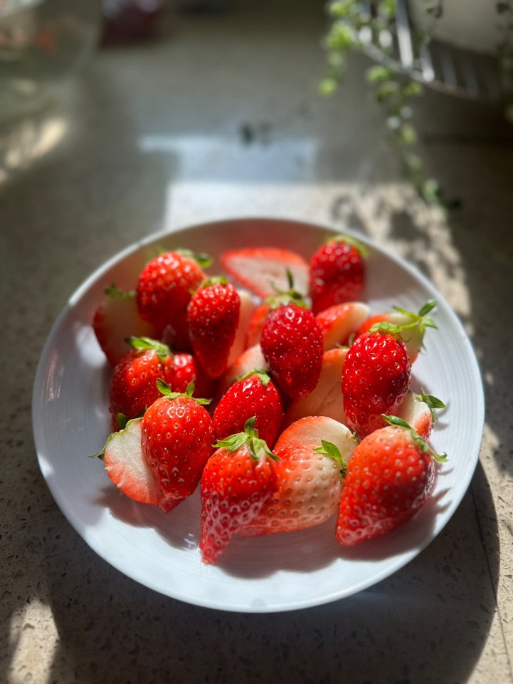 프로필사진