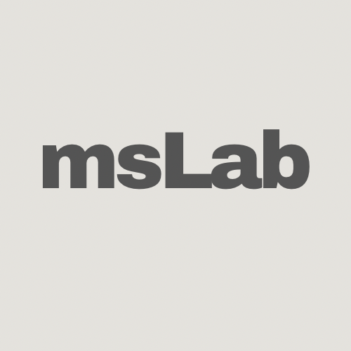 Marketing Strategy Lab