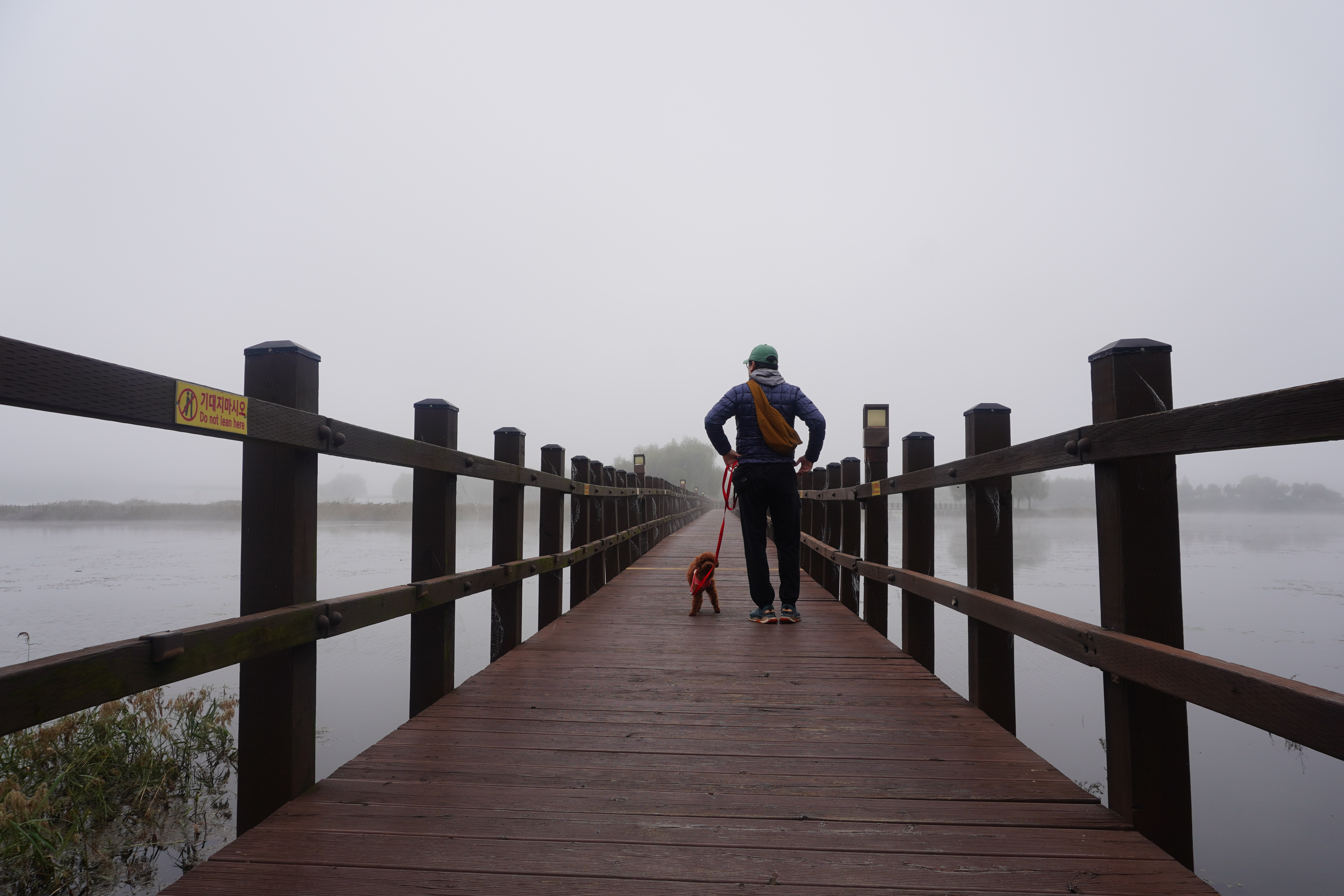 푸들해로 강아지와 산책하는 전국여행과 애견동반 맛집 이야기
