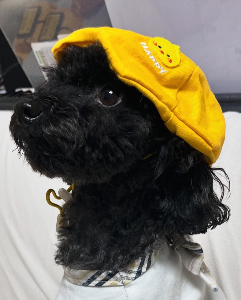 프로필사진