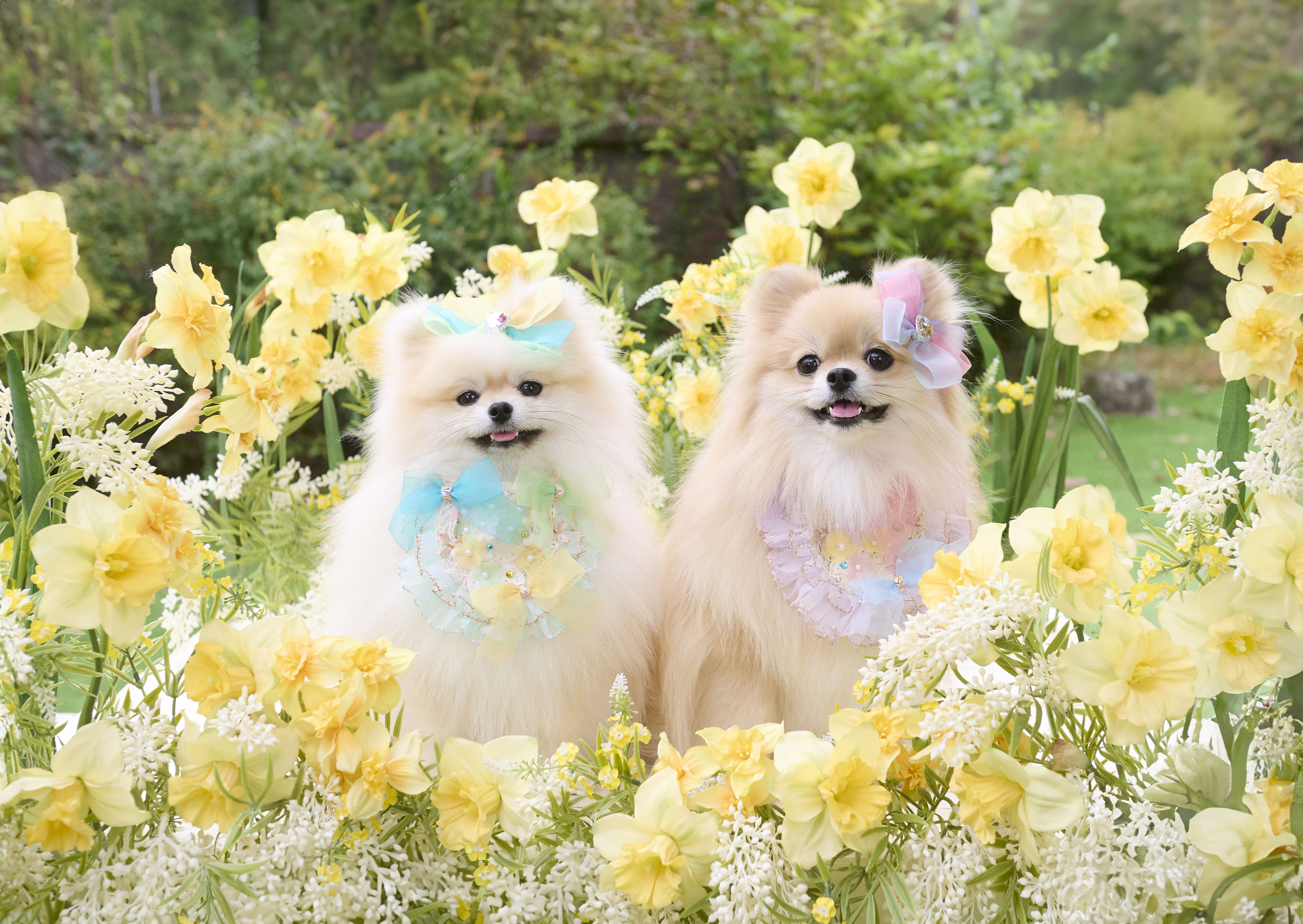 프로필사진