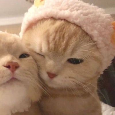 프로필사진