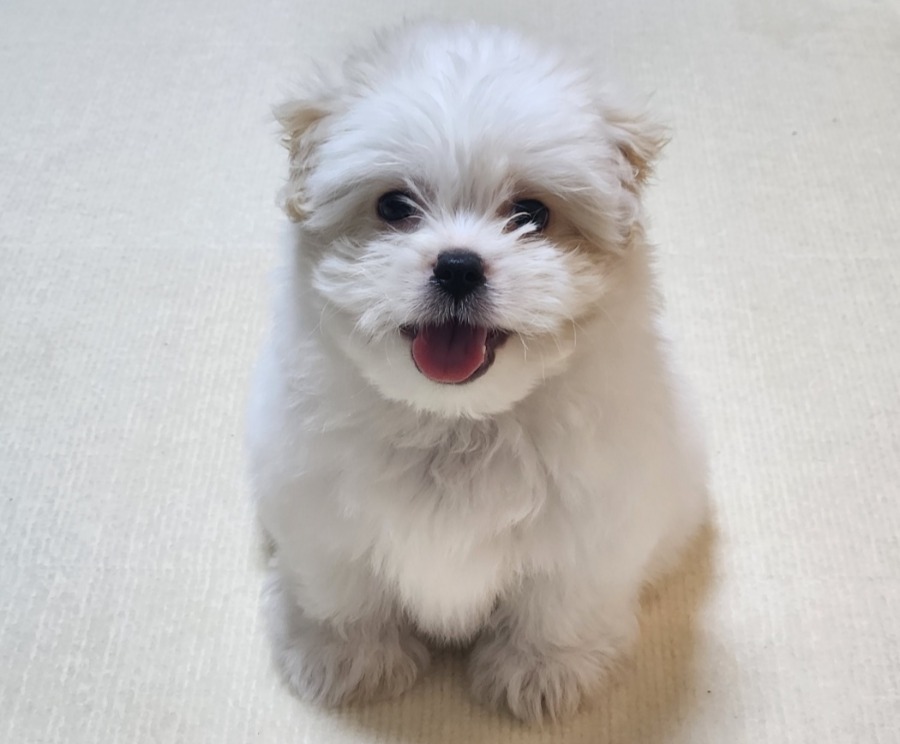 프로필사진