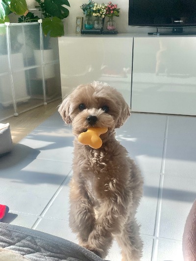 프로필사진