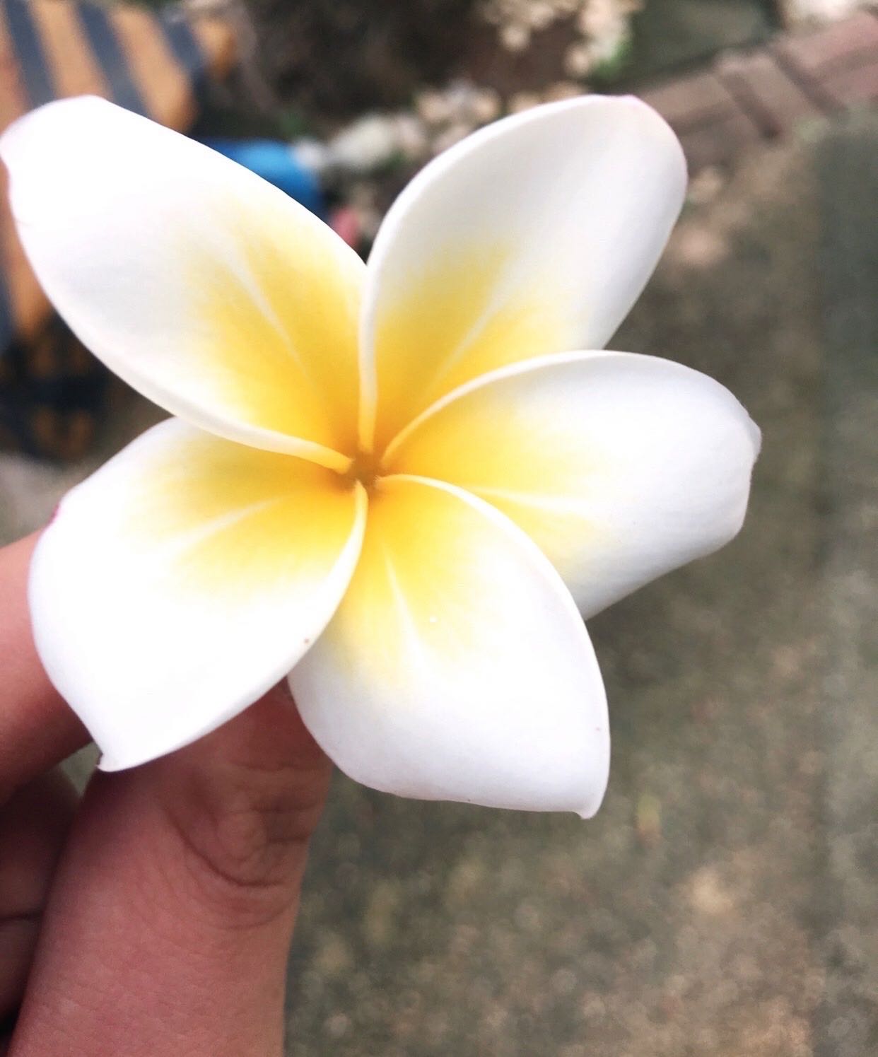 프로필사진