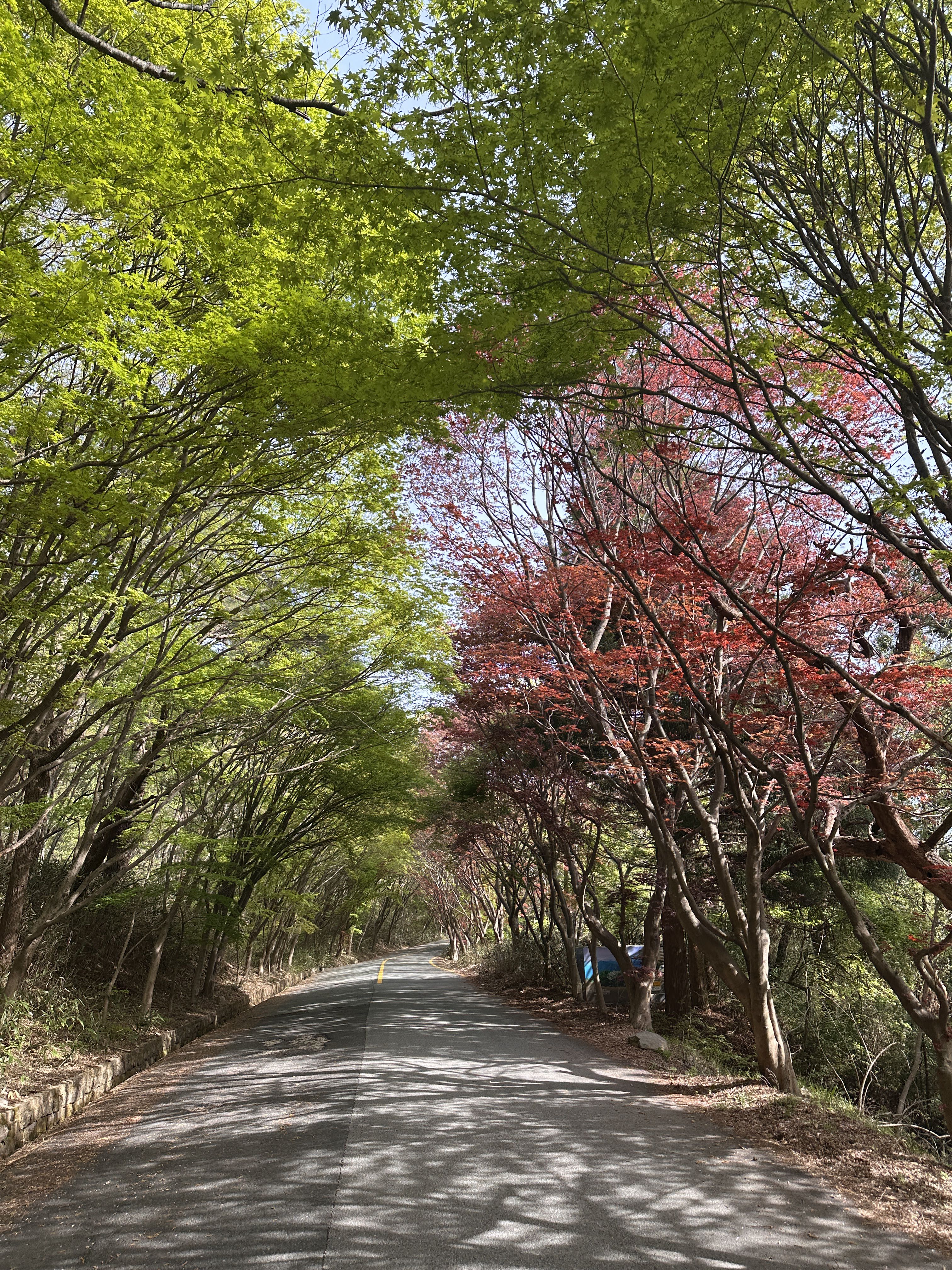프로필사진