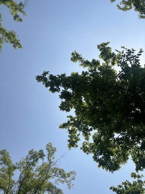 프로필사진