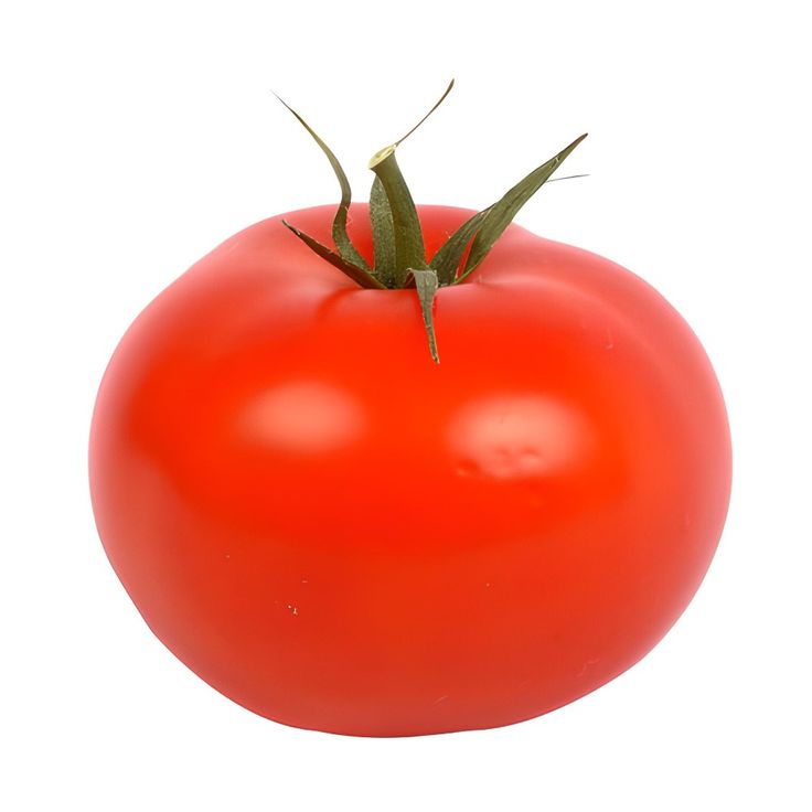 프로필사진