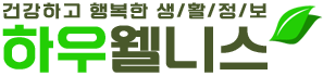 하우웰니스