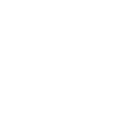 Copy Icon