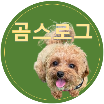 블로그 이미지