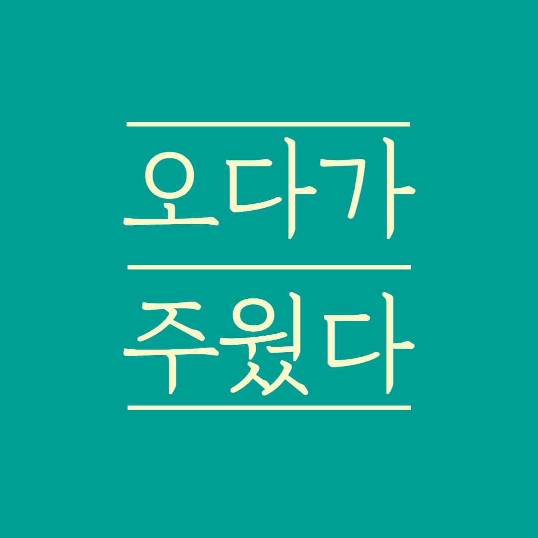 프로필사진