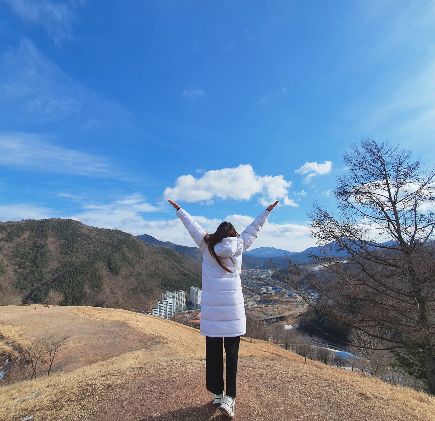 프로필사진