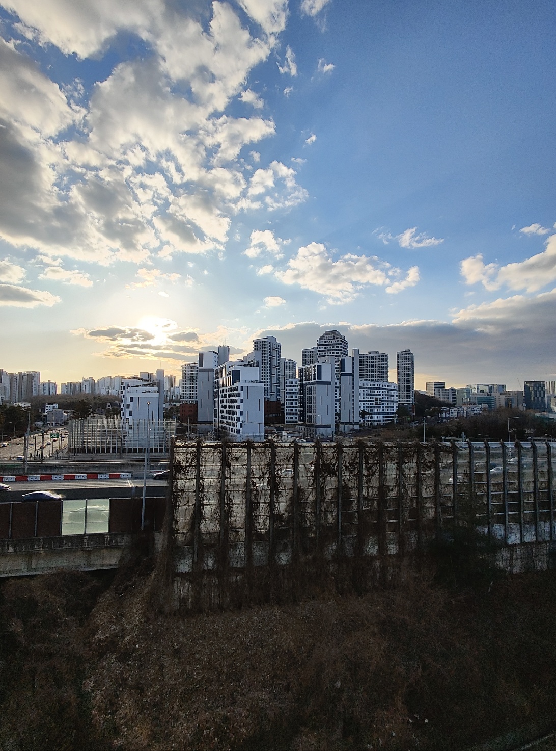 프로필사진