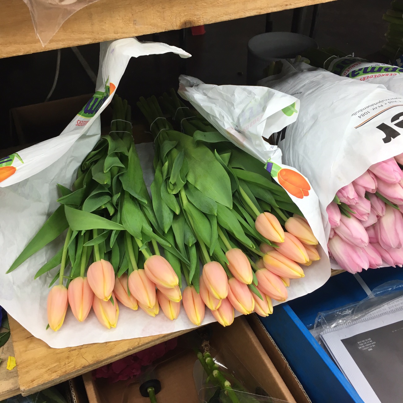 블로그 이미지