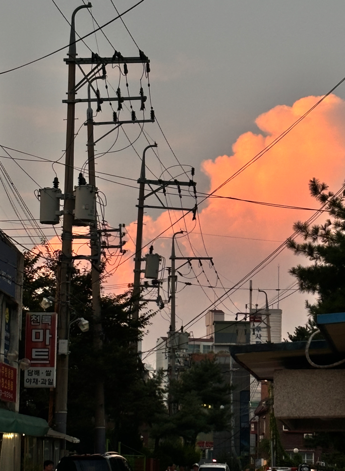 프로필사진