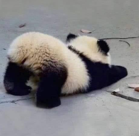 프로필사진