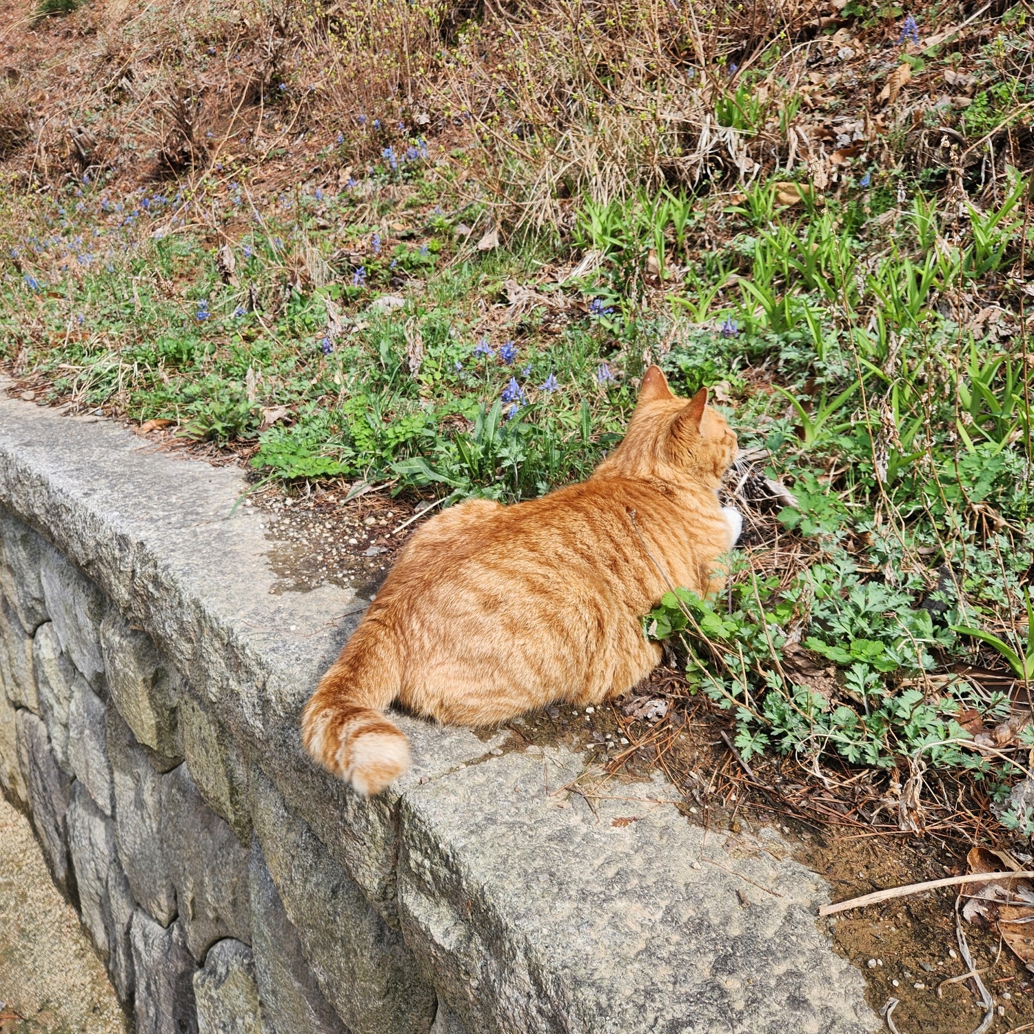 프로필사진