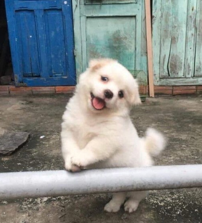 프로필사진