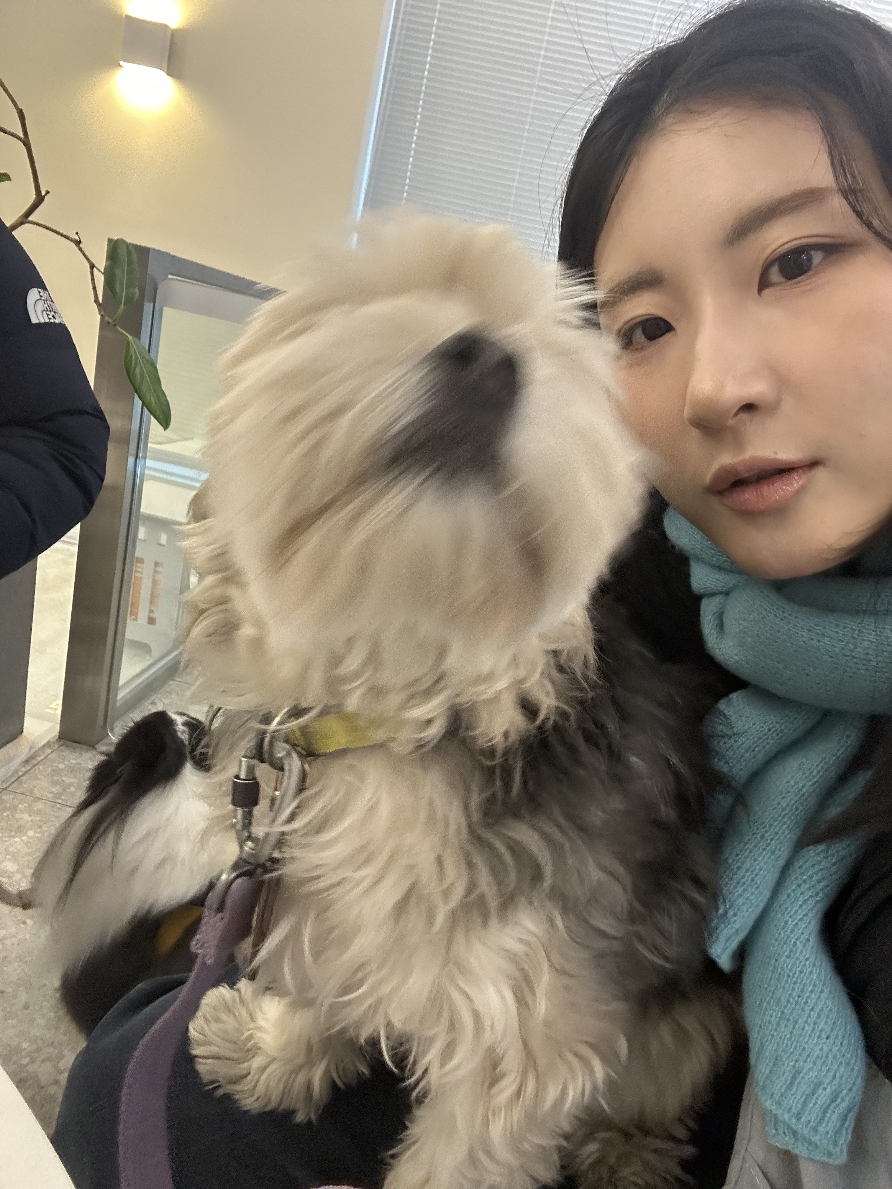 블로그 이미지